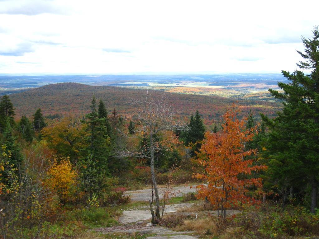 Le Gite Ambrelane Thetford Mines Exterior foto